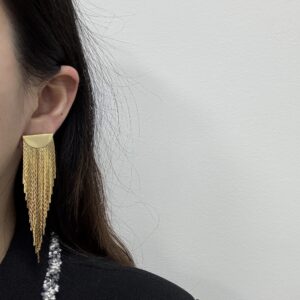 Long fringe earrings